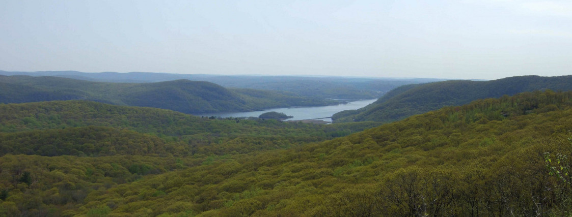 Harriman2